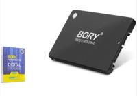 Bory R500-C256G 2.5" 256 GB 550/500 MB/S SATA 3 SSD